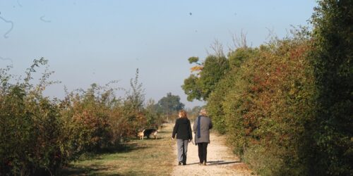 Older people walking on a path through nature
