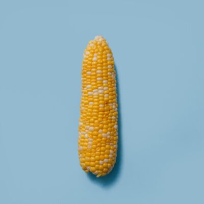 Corn on the cob on a blue background