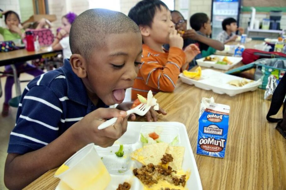 student having a school lunch