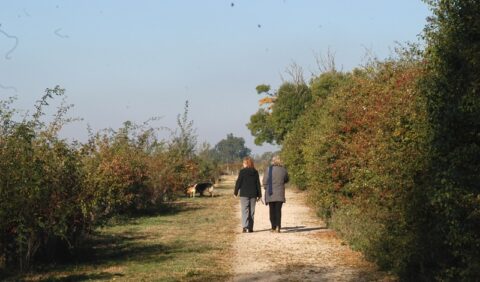Older people walking on a path through nature