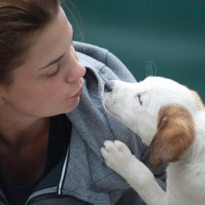 Woman playing kissy face with her white dog