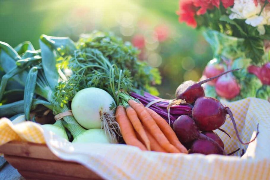 Beets, Onions, Carrots and other fresh food in a basket