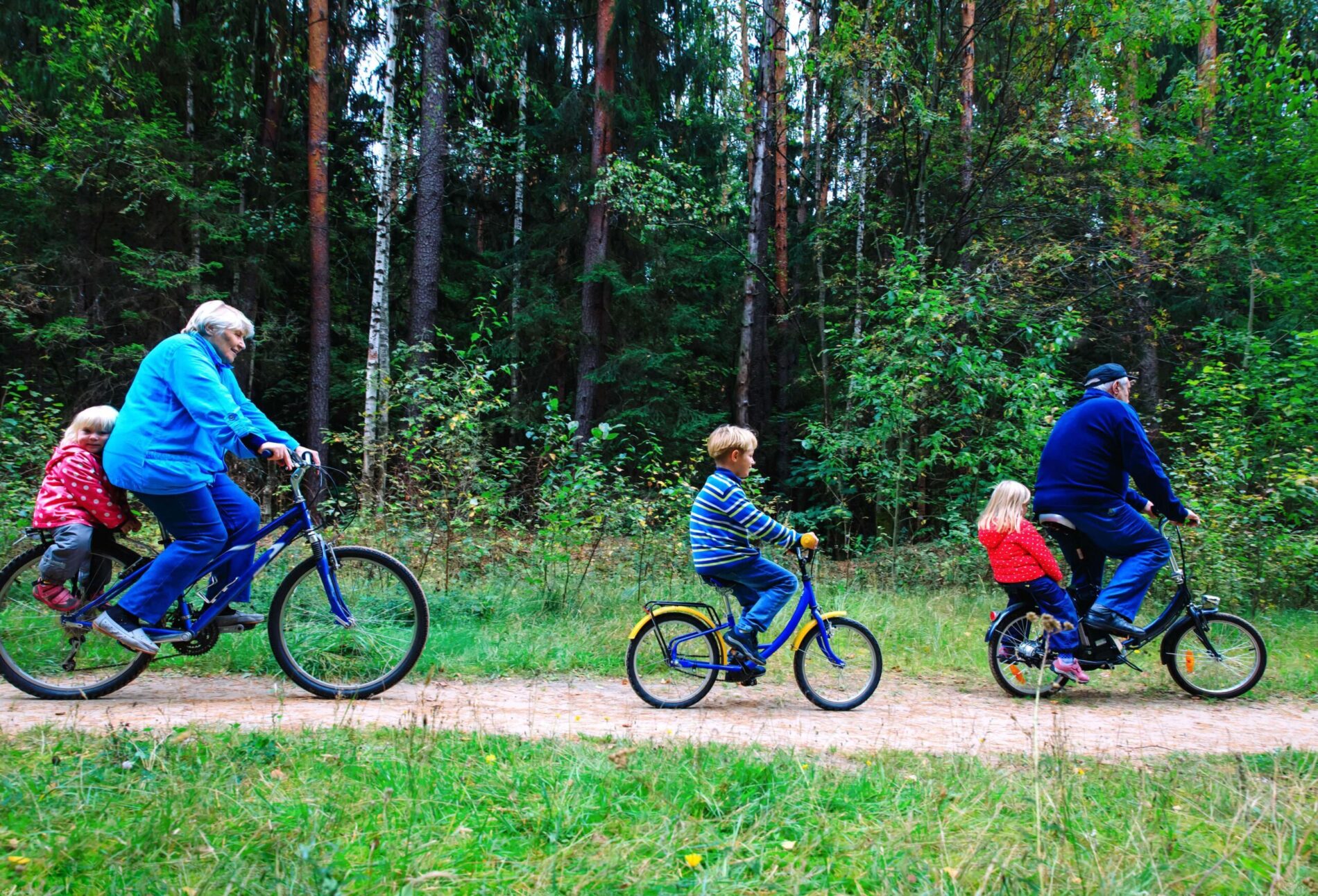 Family on a bike ride in the woods
